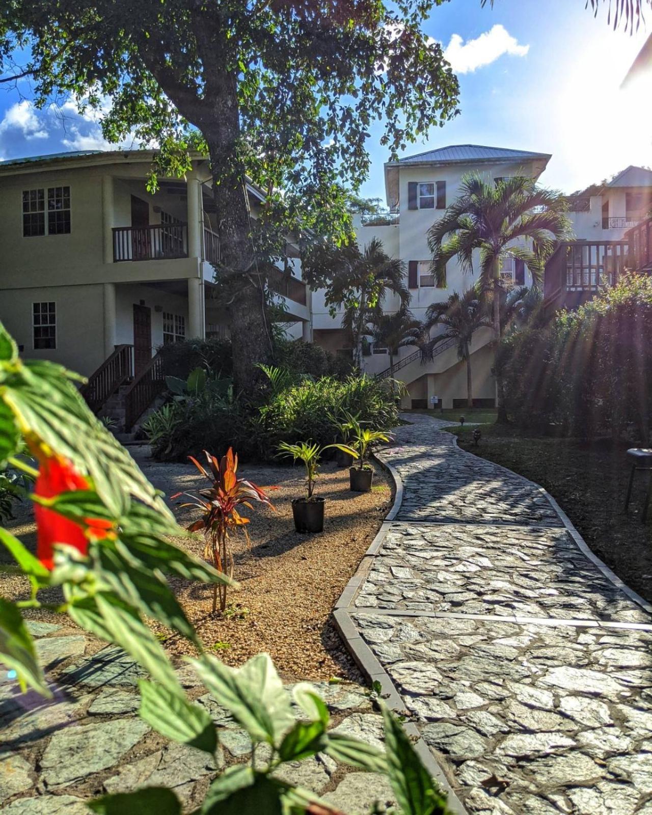 Black Orchid Resort Burrell Boom Exterior photo
